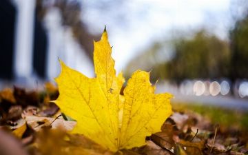 Синоптики рассказали о погоде в Узбекистане в начале следующей недели