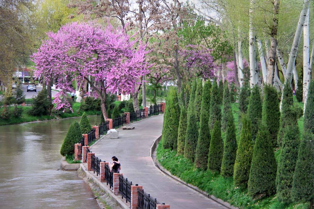 Синоптики рассказали, какой будет погода в Узбекистане в начале марта 