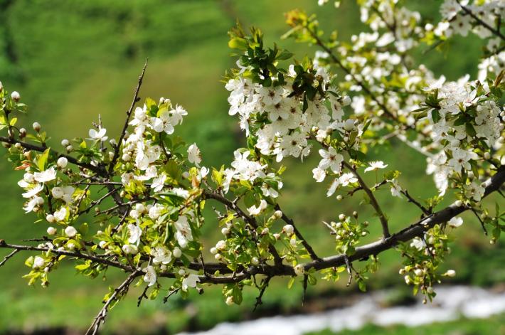В марте узбекистанцы отдохнут рекордное количество дней