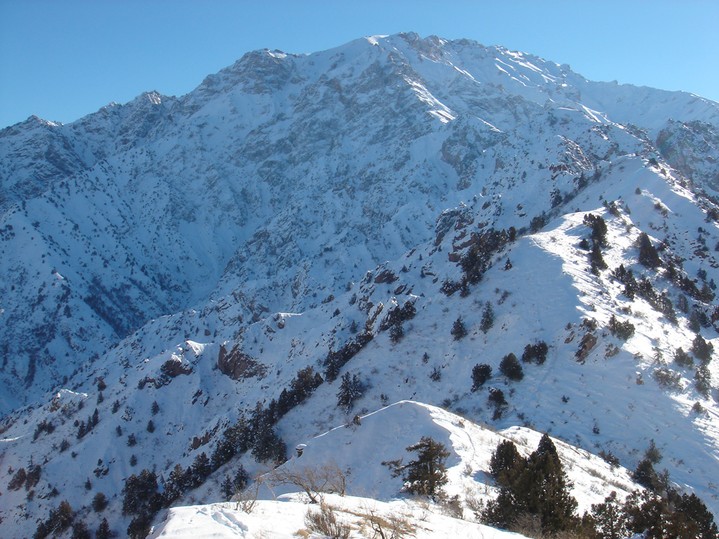 МЧС объявило о лавинной опасности в «Чимгане» на сутки